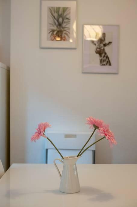 Galway City Cottage Appartement *